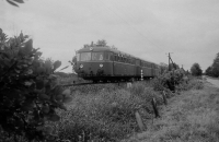 016,4 Rickling (Graustufen)