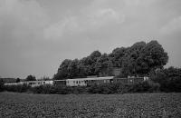 Der Unkrautvernichtungszug (Graustufen)