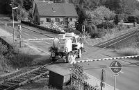 Alternativen zur chemischen Unkrautvernichtung (Graustufen)