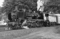 033,5 Altengörs (Graustufen)