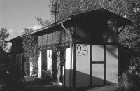 052,6 Treuholz (Graustufen)