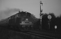Brokstedt (Graustufen)