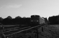 EBOE (Graustufen)