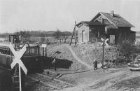 Klein Zecher (Graustufen)