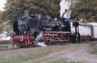 033,5 Altengörs
