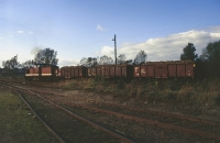 Klütz