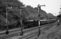 Sonderzug zu Karl May (Graustufen)