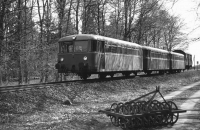Behringstedt (Graustufen)