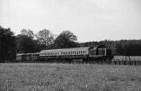 Schülerzug (Graustufen)