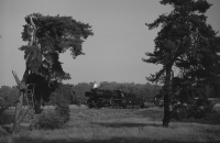 Bei Röbel (Graustufen)