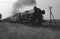 01 1066 (Graustufen)