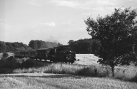 Bei Preetz (Graustufen)