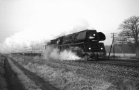 In voller Fahrt (Graustufen)