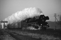 41 1185 (Graustufen)