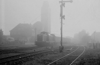 Morgennebel (Graustufen)