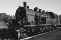 78 009 (Graustufen)