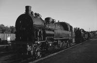 93 230 (Graustufen)
