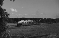 Rückfahrt (Graustufen)