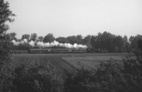 Frühzug (Graustufen)