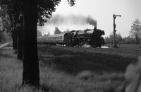 BR 03 mit Eilzug (Graustufen)