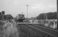 Schienenbus (Graustufen)