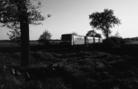 Sommerabend (Graustufen)