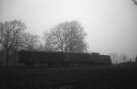 November (Graustufen)