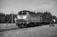 Bahnsurfer (Graustufen)