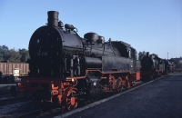 93 230