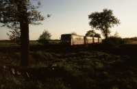 Sommerabend
