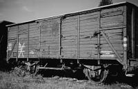 Gedeckte Güterwagen (Graustufen)