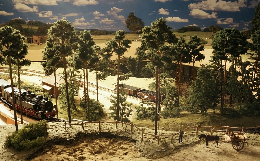  Kiefernwald