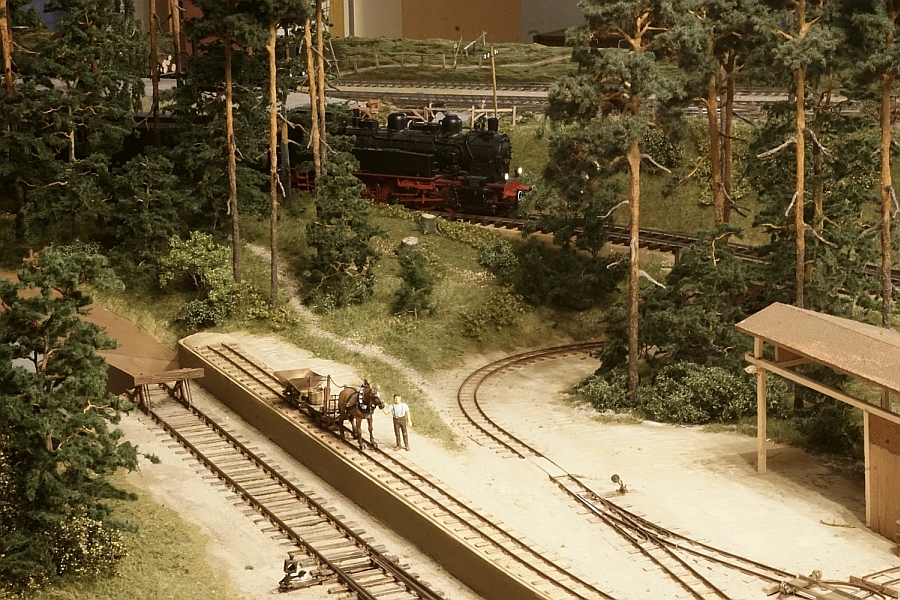  Kiefernwald