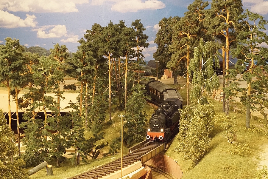  Kiefernwald